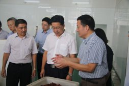 2015年9月6日上午，绍兴市委书记陈金彪在市委常